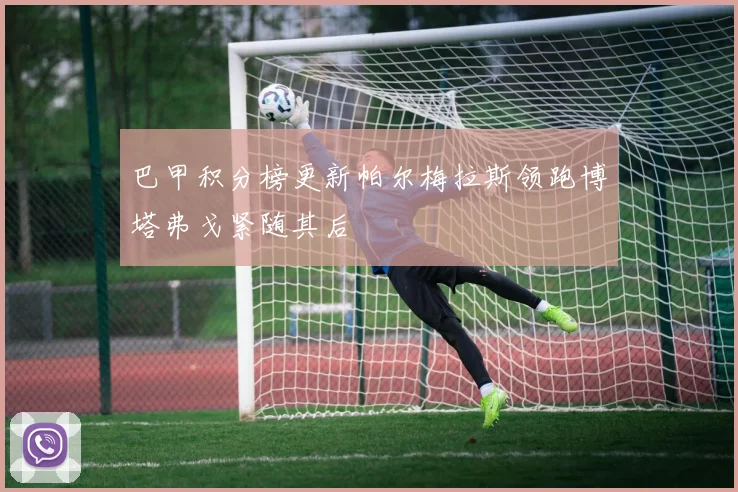 巴甲积分榜更新帕尔梅拉斯领跑博塔弗戈紧随其后
