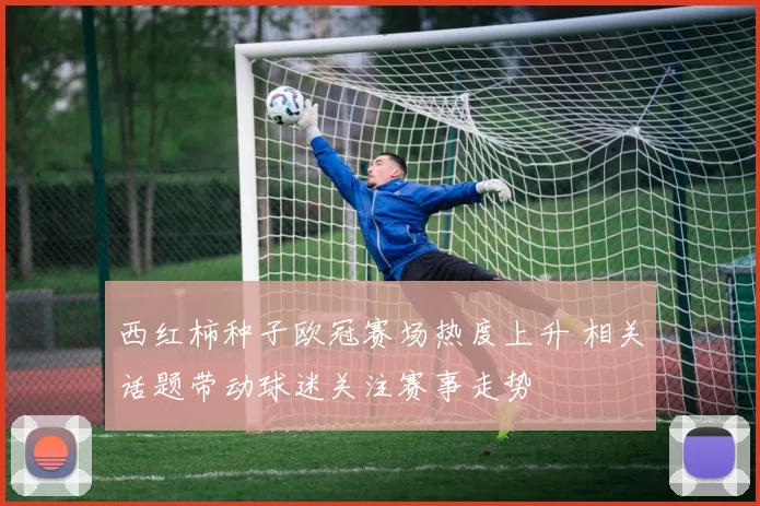 西红柿种子欧冠赛场热度上升 相关话题带动球迷关注赛事走势
