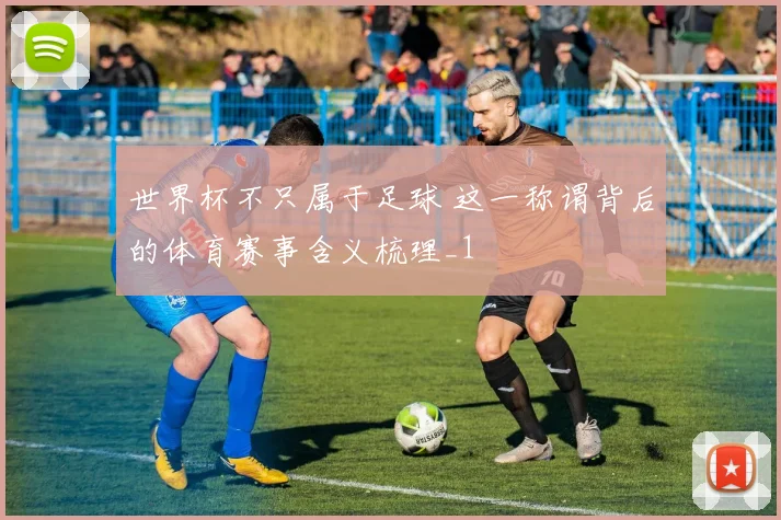 世界杯不只属于足球 这一称谓背后的体育赛事含义梳理_1