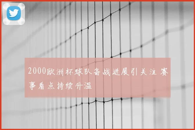 2000欧洲杯球队备战进展引关注 赛事看点持续升温