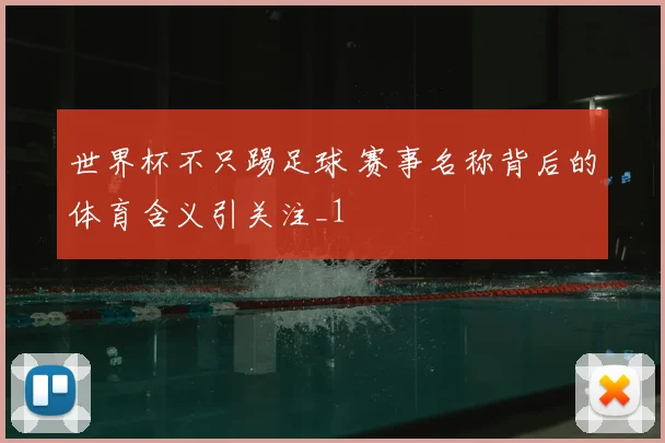 世界杯不只踢足球 赛事名称背后的体育含义引关注_1