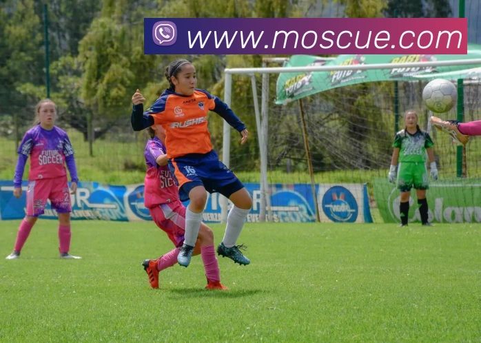 爱游戏官网APP 封面图